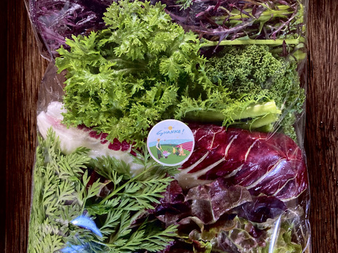 お家でレストランサラダ！ 6種のリーフ 厳選野菜のサラダmix 200g×2袋