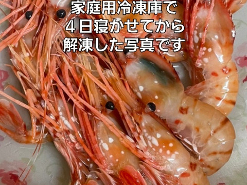 【-60冷凍】鮮度抜群！甘〜いボタンエビ中小混ざり3パック900g