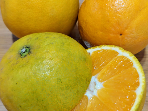 バレンシアオレンジ『サイズ混合』5kg（箱込）