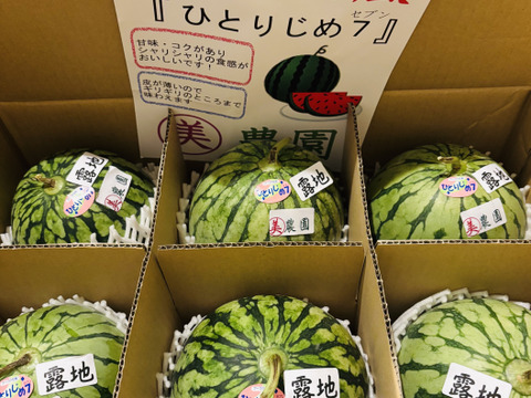 シャリ感抜群‼　極甘まる美のひとりじめ7すいか（小玉スイカM玉6玉入り）