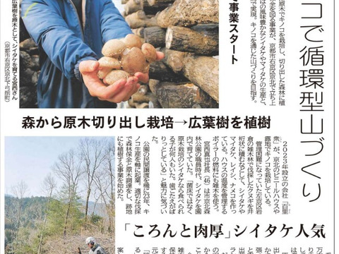 【原木乾燥椎茸スライス】「京ぽんぽん」（お試し25g）　京都府産　原木栽培　農薬不使用