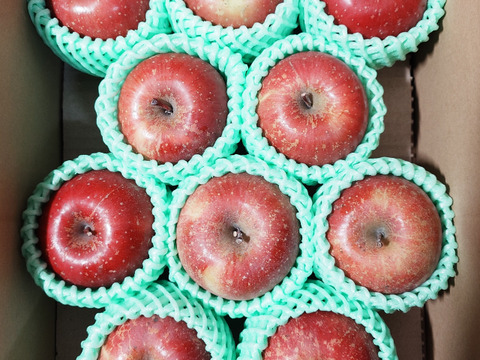 【小玉/最小容量】☆化学農薬不使用りんご☆サンふじ/小玉10個入り（2キロ）