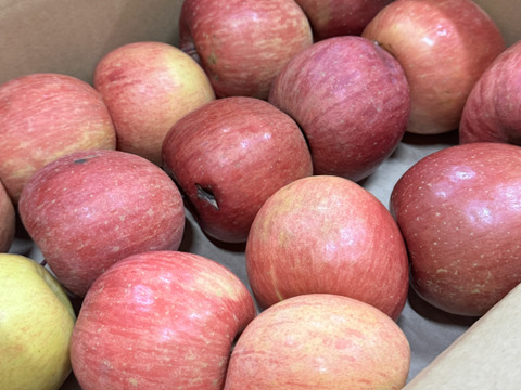 ★残りわずか★葉とらずサンふじ🍎訳ありバラ詰め 約３Kg　青森県産