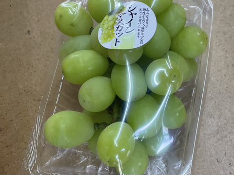朝採り　当日発送　シャインマスカット　350g×2房　順次発送中