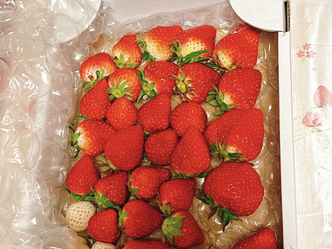 【さがほのか】5月の❤️きらきら🍓ほのかちゃん2箱