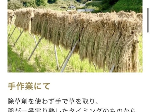 農薬・除草剤不使用の『玄米麺（半生）』 もちもち・ゆで時間１分！腹持ち😀 長期保存食にも。