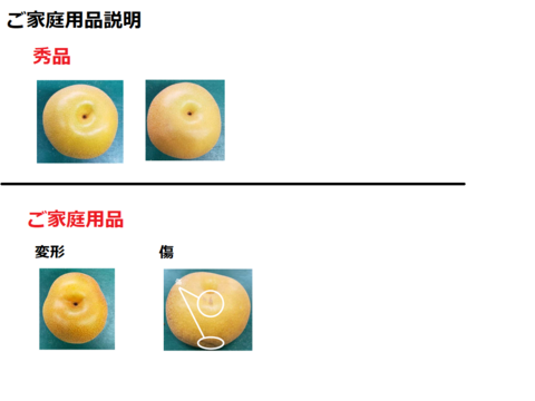 【ご家庭用品】梨 あきづき 3Kg箱 5玉~9玉 _2024
