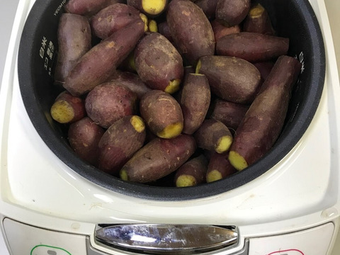 熟成した甘さの有機さつま芋（紅はるか）訳あり品【4.5kg】　焼き芋にすると糖度３８度超え‼