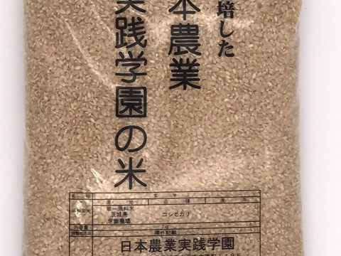 【食べ比べ】学生と作ったお米　日本農業実践学園のミルキークイーン　コシヒカリお試し【玄米２kgずつ】令和5年産新米
