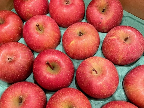 【販売中！人気商品】青森県産りんご「サンふじ」家庭用 キズ有 約5kg【美味・光センサー選果済】