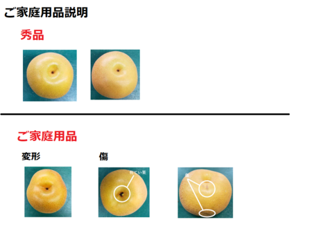 ご家庭用品】梨 豊水 3Kg箱 ７玉~８玉 _2024：千葉県産のその他梨｜食べチョク｜産地直送(産直)お取り寄せ通販 - 農家・漁師から旬の食材を直送