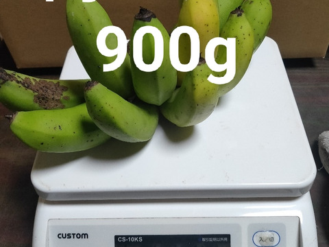 沖縄産　島バナナ　900ｇ