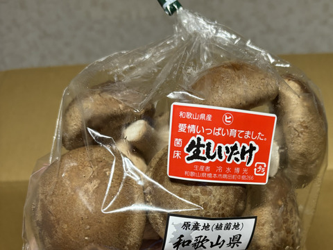 2㎏まとめ買い！菌床生しいたけ　小さくても美味しい（２㎏）