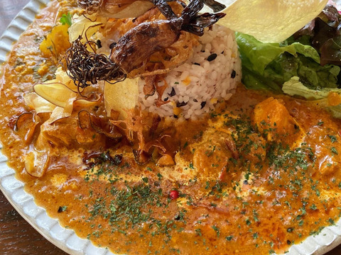 【定期便】スプラウト青空にんにく40本以上（発芽にんにく）