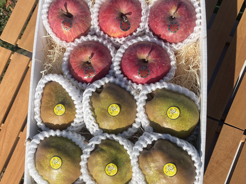 【冬ギフト】 ★秋の味覚★ラ・フランスと完熟サンふじ詰め合わせギフトセット★