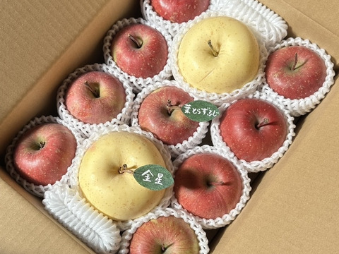 【縁起物】🍎葉とらずふじ⭐️金星（９～１１玉）約３キロ箱 ID179783
