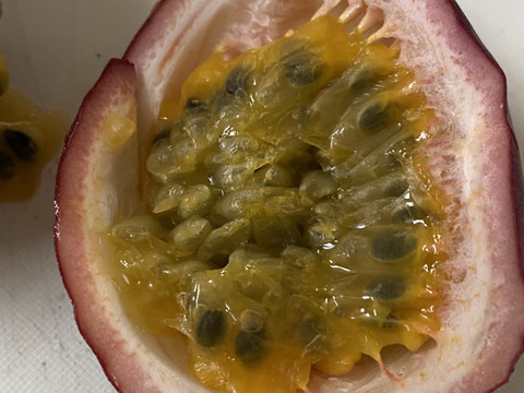 【訳アリ品】千葉県産房総バナナ1.4kg（約8～14本）＋パッションフルーツ0.4kg（約4~6個）