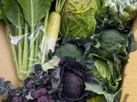 ❄☃️７品冬の野菜セット☃️❄