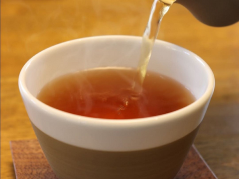 【美味しい健康茶：２０包入り】おいしい黄金の健康ほうじ茶（パパイヤリーフティー）