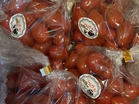 【新春SALE】サクサクミニトマト　フラガール290g×4袋