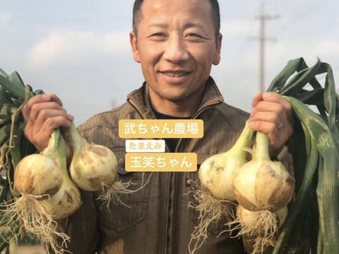 甘みたっぷりジューシーたまねぎ『玉笑ちゃん』5kg(13個程度)