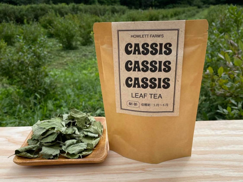 カシスの葉のハーブティー【フィンランドの伝統茶】15g　※まとめ買い対応