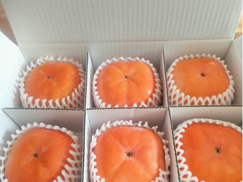 【冬に食べる】幻の柿 次郎柿！木成り完熟の逸品12個化粧箱入り（3ｋｇ）