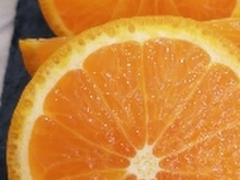 糖度16超❣　あま〜い春みかん♬【レア品】果汁たっぷり!（のうろく）