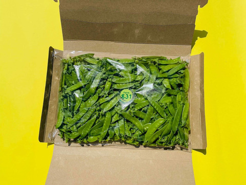 味が濃くシャキシャキ食感の絹さや500g