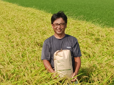 令和7年産新米　農薬5割減　特別栽培米コシヒカリ白米１０kg　化学肥料不使用　段ボール込み約１１kg