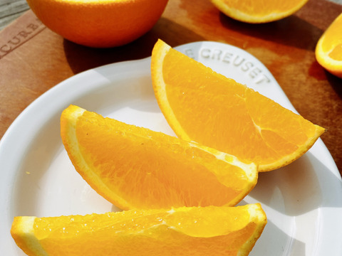 大三島のネーブルオレンジ （ご家庭用・5キロ箱）
