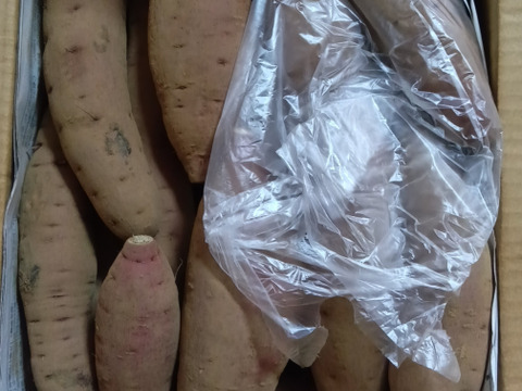 ねっとり系代表❣️千葉県香取市産　S・M
さつまいも極甘！ 【紅はるか】1.5kg