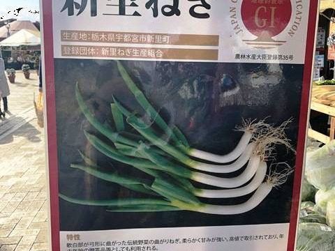 【GI産品】『新里ねぎ』 GIマーク取得のブランド伝統野菜 泥付き 3kg