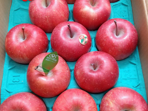 食べきりサイズの小玉です❗個性派りんご🍎葉隠れサンふじ  （12個～14個）3キロ箱使用