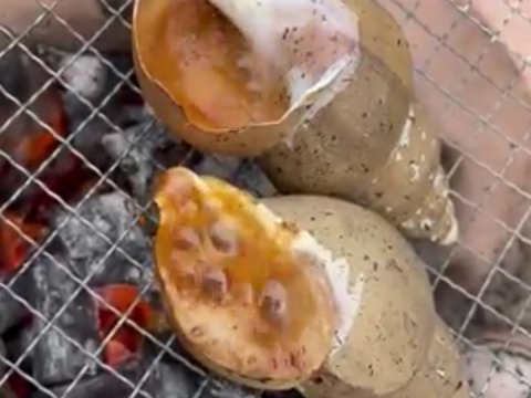 【専売】エゾバイ、ホッケ ハッカクおまとめ