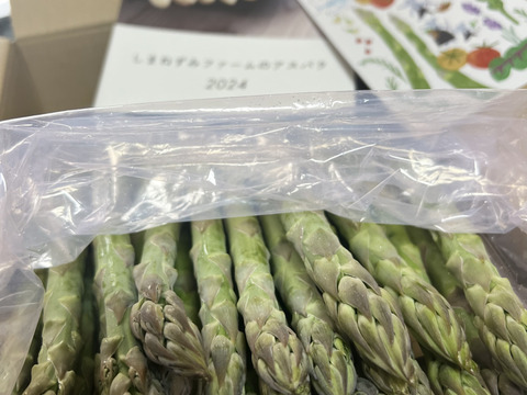 【春芽】【北海道 上富良野産】太さと旨味にこだわりのアスパラガス2Lサイズ900g