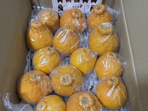 不知火デコ柑3k以上入ってます、サイズコミコミB品小玉多めになります。