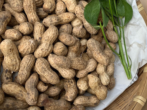 京都府京丹後産　煎りピーナッツ　止まらない美味しさ！180g×２パック