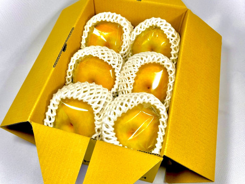 【すぐ発送可】糖度センサー測定！長生き幸水梨『長寿梨（チョウジュリー）』贈答用6玉