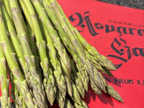 【2027年予約販売】香川県産アスパラ　Lサイズ1キロ「さぬきのめざめ」