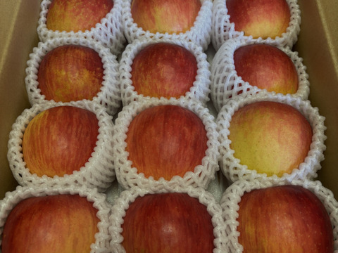 まるごとガブリっ！奥州ロマン☆小玉・サビあり食べきりサイズりんご【岩手江刺産】３㎏