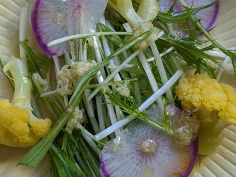 オレンジカリフラワー８個