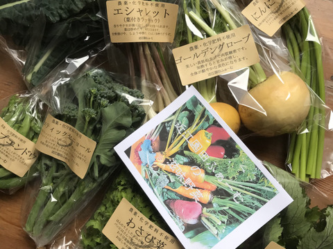 野菜ソムリエ厳選 農薬化学肥料不使用！
こだわり旬のお試し野菜セット！ 滋賀県産