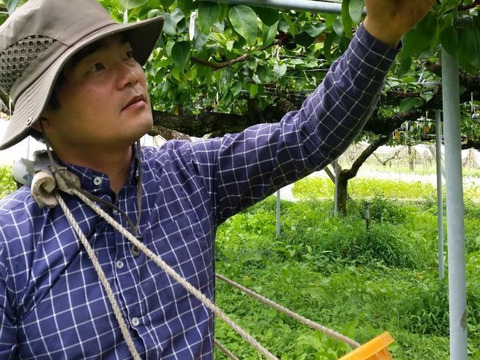 無添加・果実の美味しさそのまま！果樹農家の梨まる搾りジュース　720ml×8本入