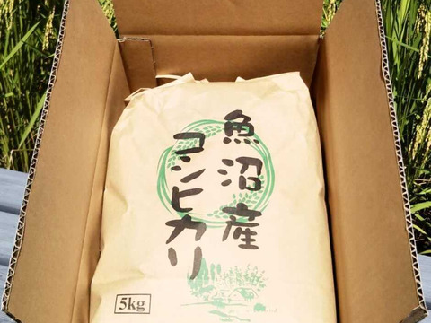 【初回限定BOX】【令和3年産/1等米】新潟県魚沼産コシヒカリ「たかはし家のお米」（精米、3kg）
