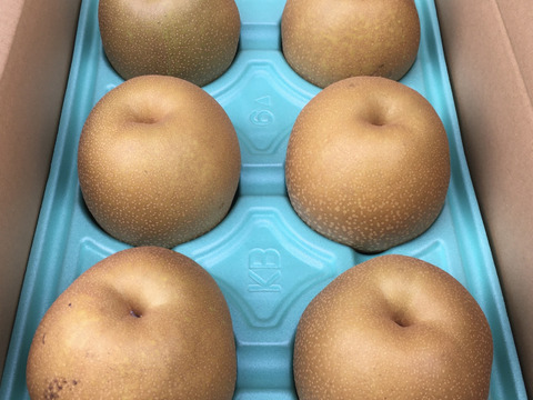 栃木県産 ご家庭用 王秋梨　5kg 6〜9玉入り