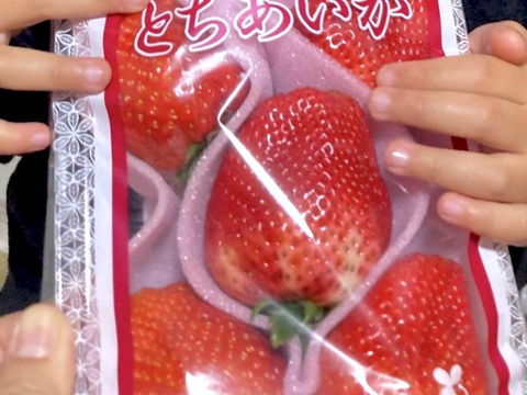 特大(2P) 500g以上【いちご・とちあいか】どでかいビックリサイズ厳選いちご★栃木県産いちご「とちあいか」(２パックx280g)●甘さがキラリ大粒いちご●お届け日指定可