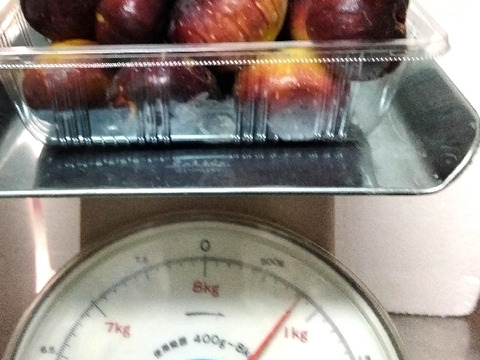 大容量パック　兵庫産 ご家庭用　イチジク　800ｇ