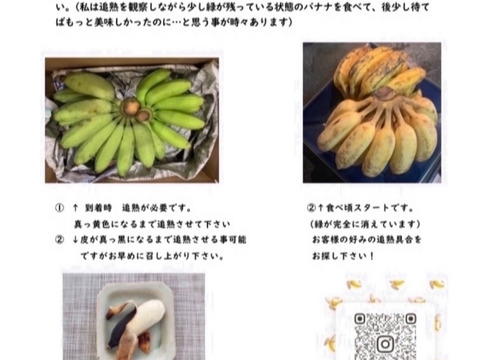 予約販売1ヶ月待ち〔自然栽培〕ワクワバナナ
