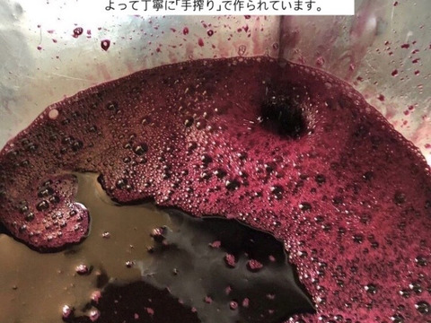 【母の日ギフト】【お試しサイズ】生搾りアロニア２５０ｍｌ １本（約8日分）無添加 北海道 スーパーフード